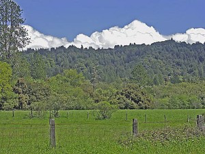 Felton fields and clouds, photographed by John Urwin